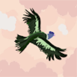 Meet your Posher, Miriam